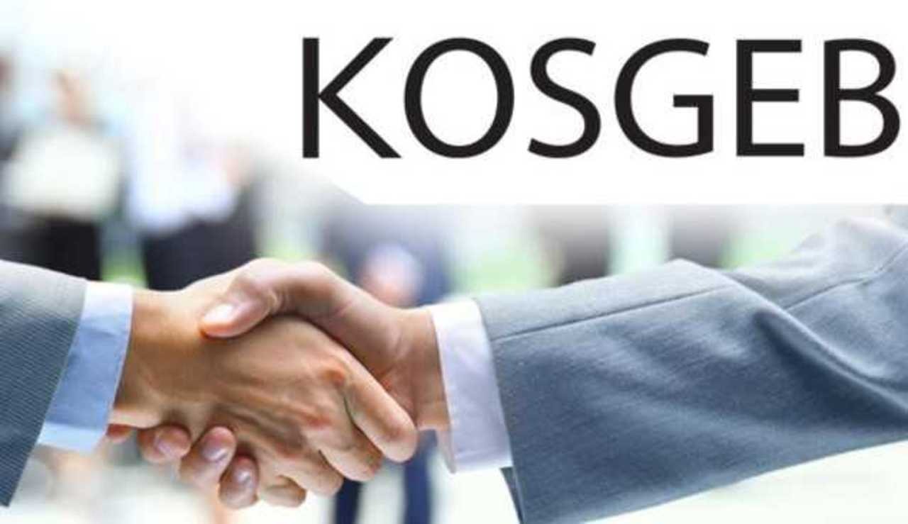 İleri Girişimcilik Desteği